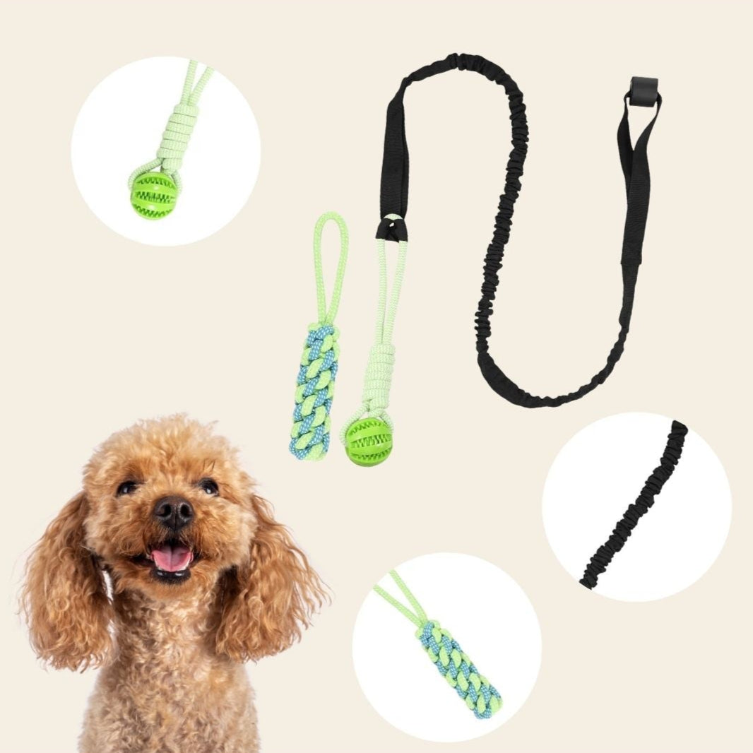 PowerBall - Das Spielzeug, das Energie in Freude verwandelt