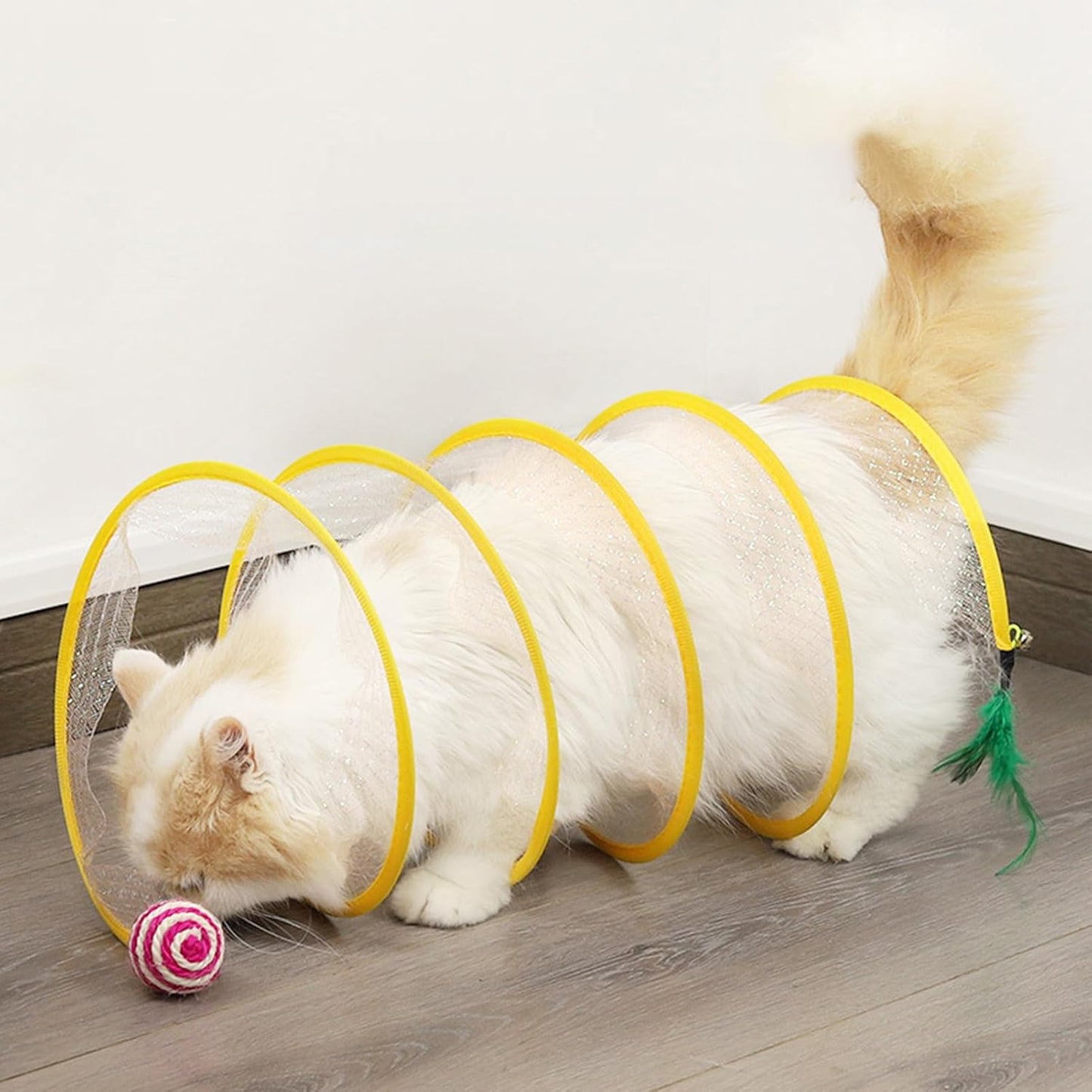 Pfotenkarussell – Spielspaß gegen Langeweile