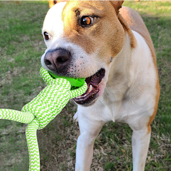 PowerBall - Das Spielzeug, das Energie in Freude verwandelt
